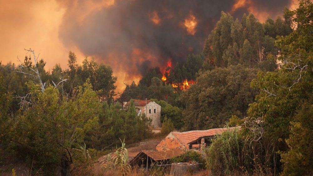 Wildfires covering wooded areas near residential homes.