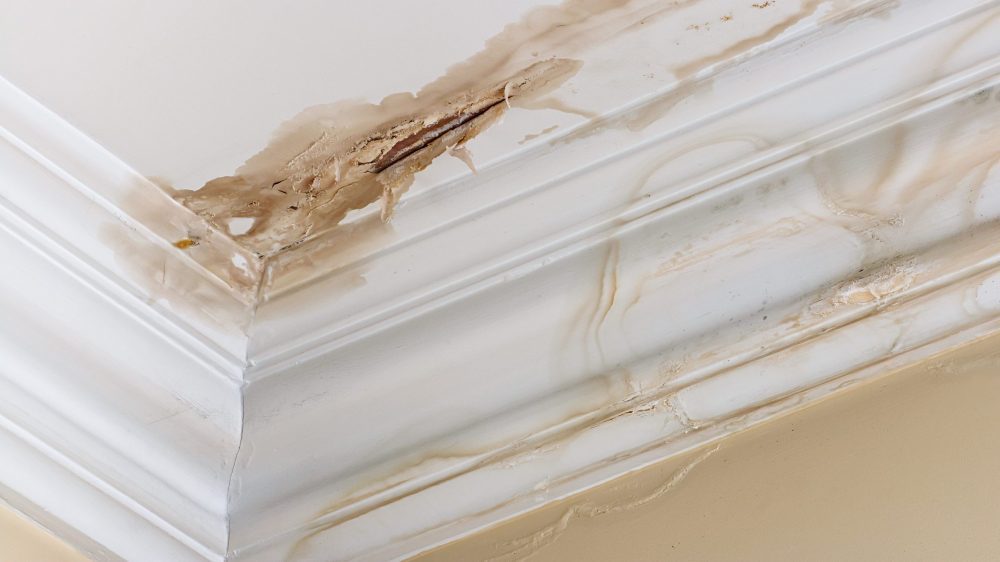 Peeling paint on an interior ceiling a result of water damage caused by a leaking pipe dripping down from upstairs a result of substandard plumbing completed by an unqualified plumber. A common sign of a house's condition.