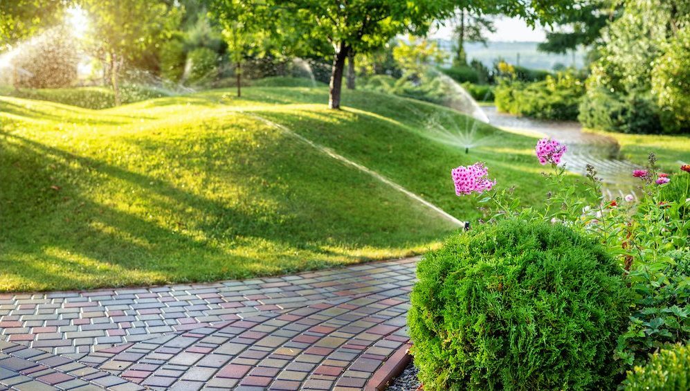 Home irrigation system with different sprinklers installed under the lawn. Landscape design with grassy hills and fruit trees irrigated with smart automatic sprinklers at sunset.