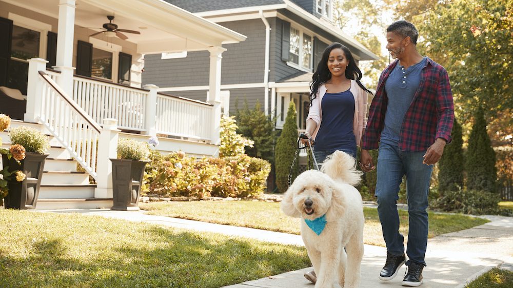 Couple walking a large shaggy dog along suburban street in a pet-friendly neighborhood.