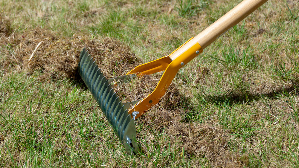 Close up of lawn with scarify rake in a garden in the springtime.